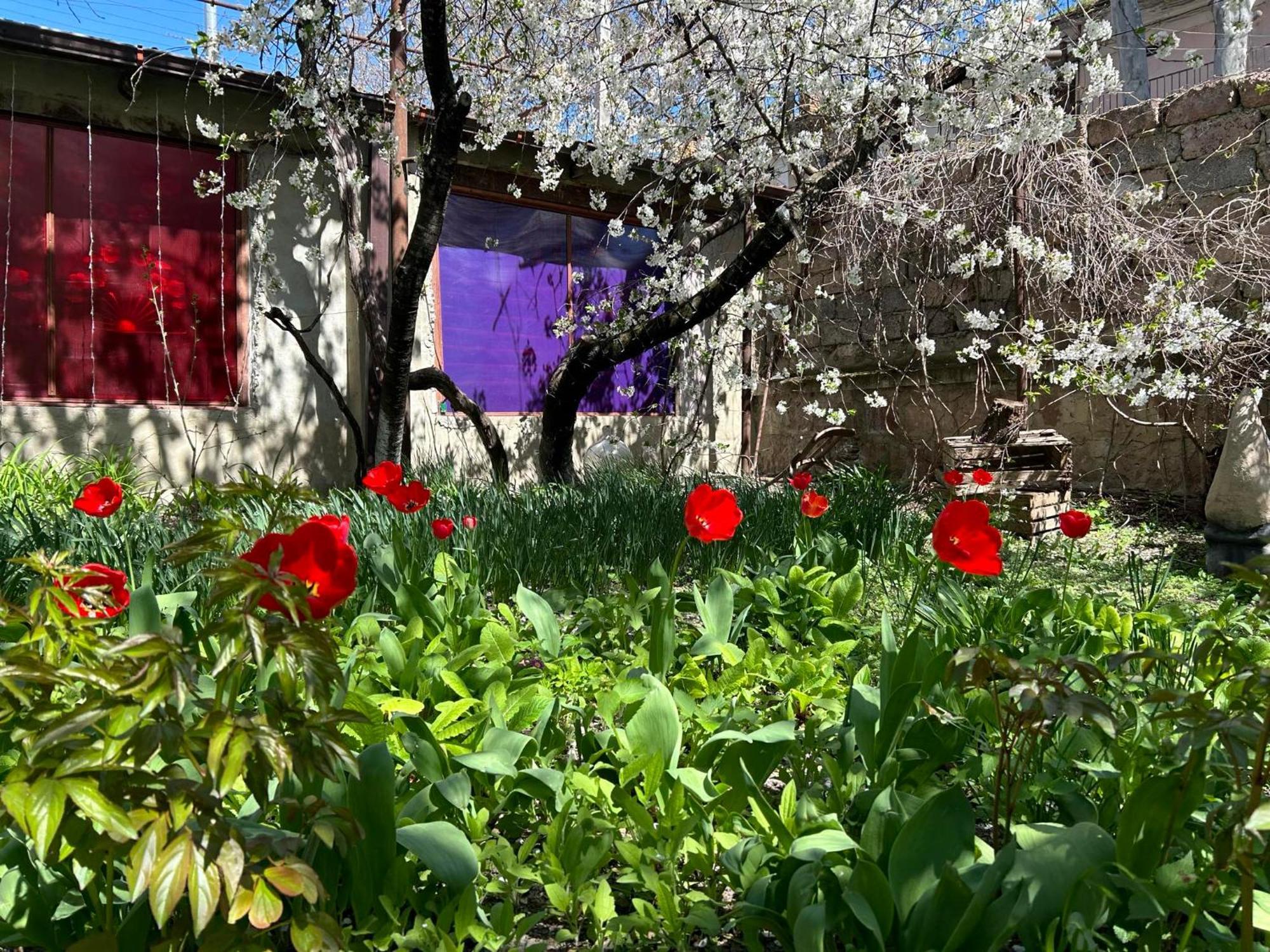 Ke&Ra Guestsroom Gori Buitenkant foto